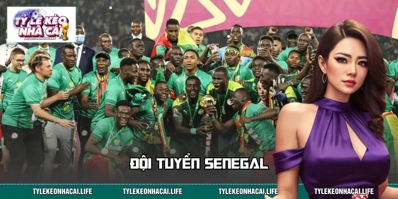 Đội Tuyển Senegal: Sức Mạnh Châu Phi Và Tham Vọng World Cup
