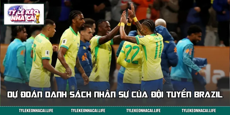 Đội hình thi đấu của Brazil sẽ góp mặt trong vòng chung kết